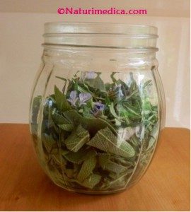 Cut Sage and rosemary in post - naturimedica